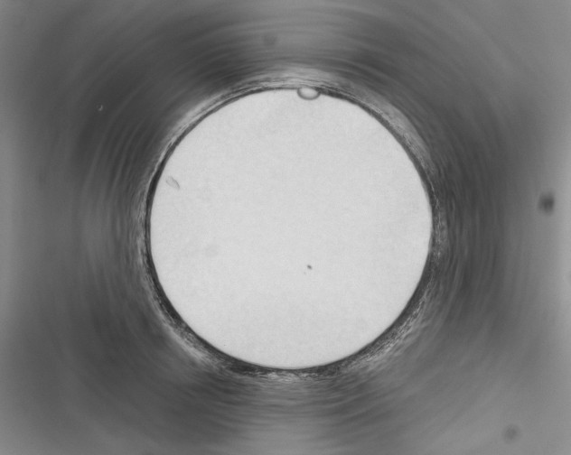 X0000116320850201001131002