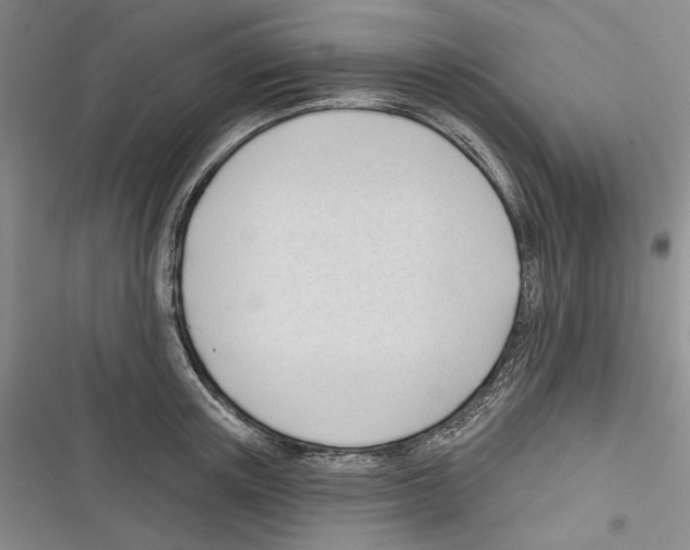 X0000116320851201001131002