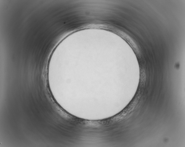 X0000116320852201001131002