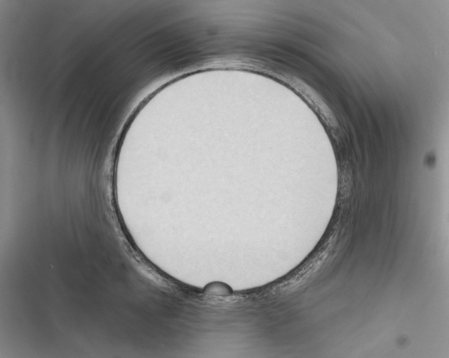 X0000116320854201001131002