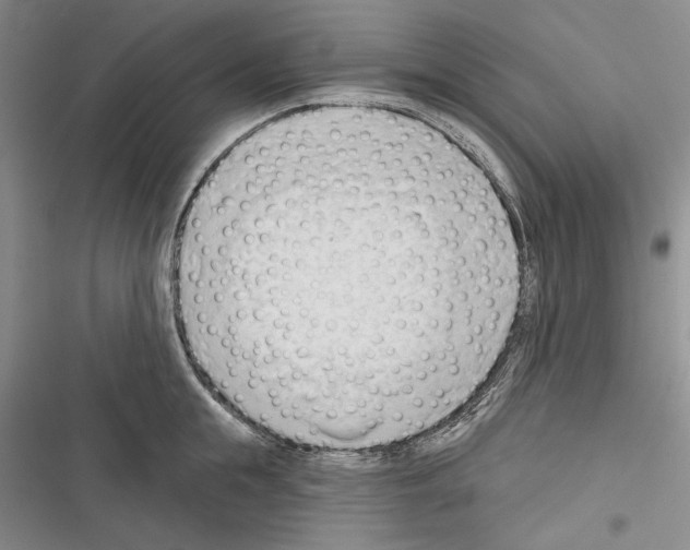 X0000116320855201001131002