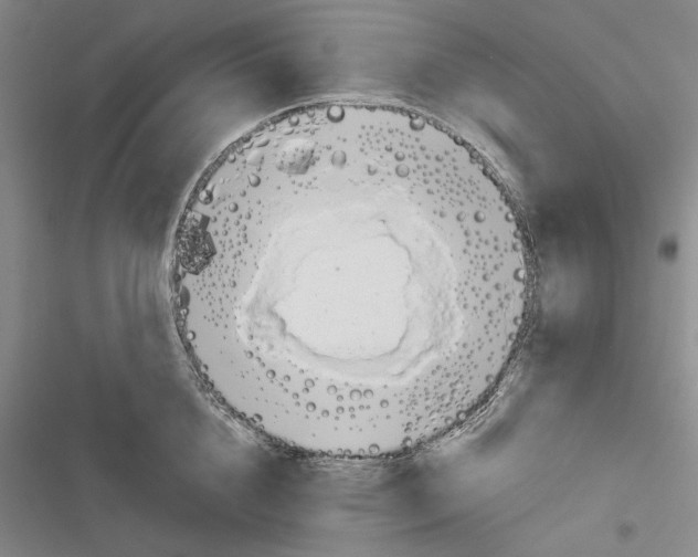 X0000116320856201001131002