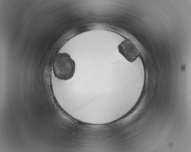 X0000116320857201001131002