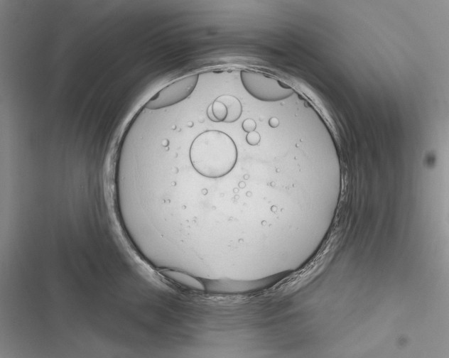 X0000116320859201001131002