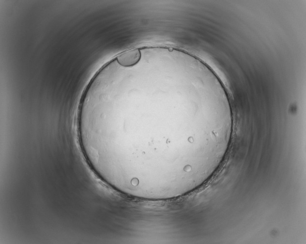 X0000116320861201001131002