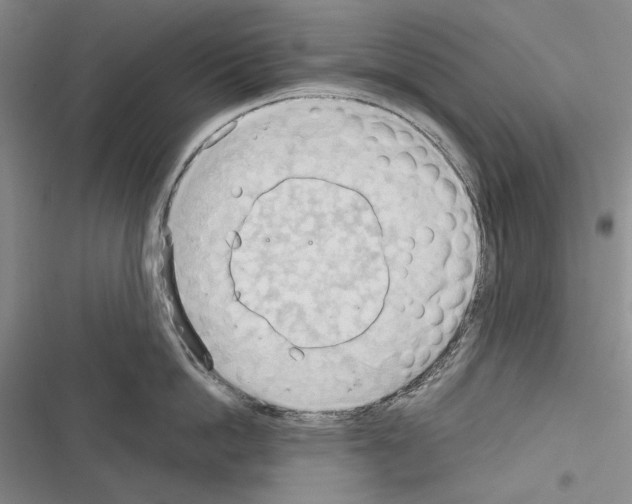 X0000116320862201001131002