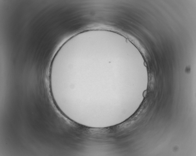 X0000116320863201001131002