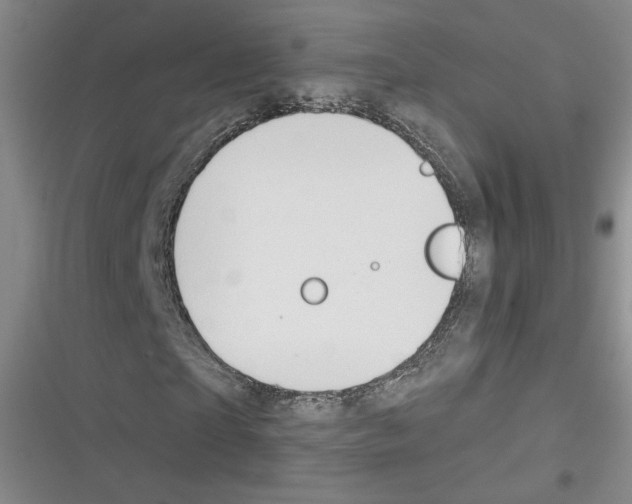 X0000116320865201001131001