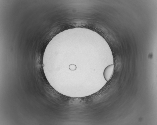 X0000116320866201001131001