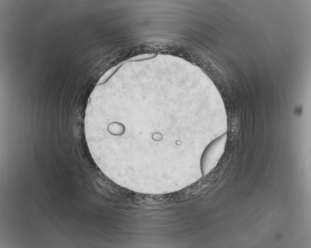 X0000116320868201001131001