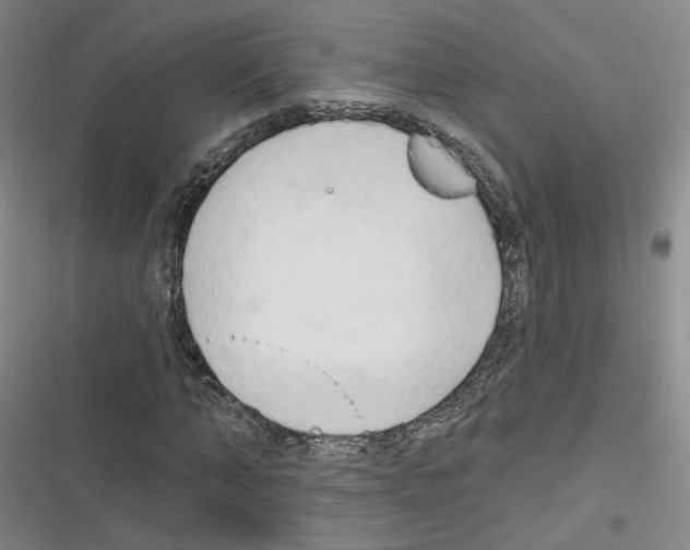 X0000116320870201001131001