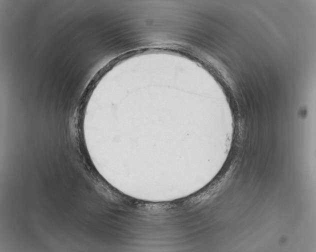 X0000116320875201001131001