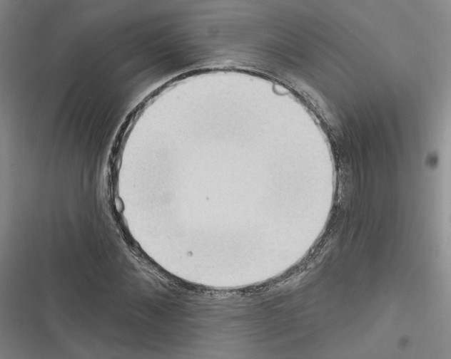 X0000116320876201001131001