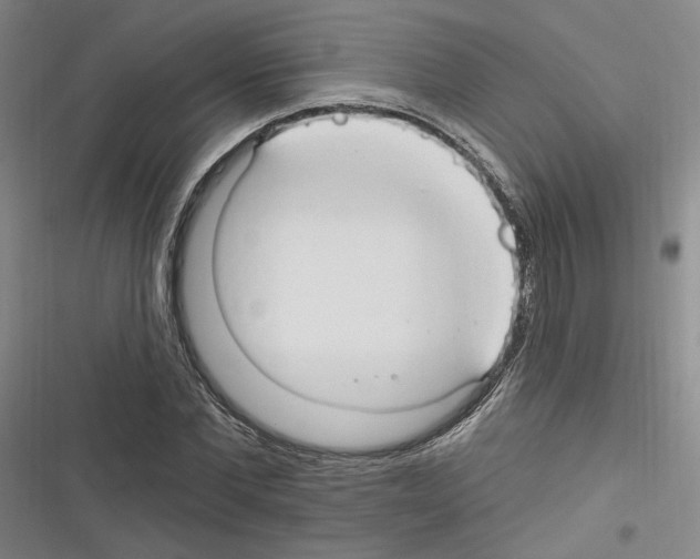 X0000116320877201001131001