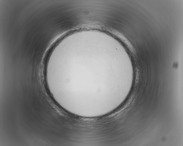 X0000116320878201001131001