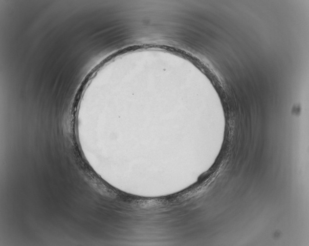 X0000116320879201001131001