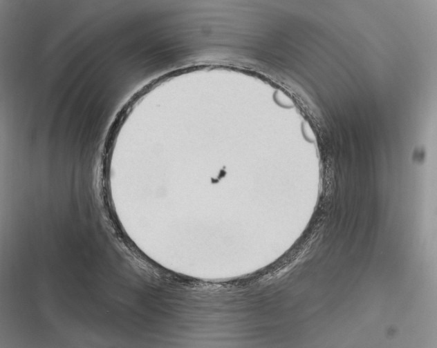 X0000116320880201001131001