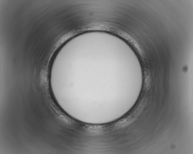 X0000116320882201001131001