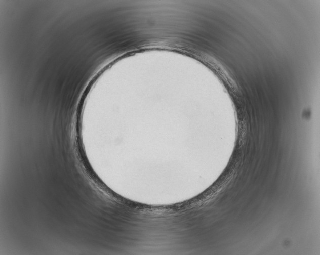 X0000116320884201001131001