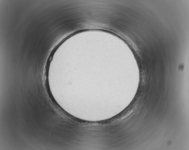 X0000116320885201001131001