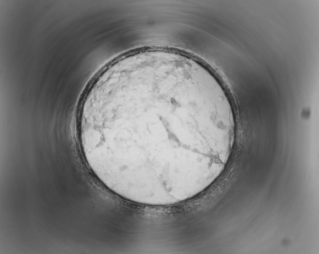 X0000116320887201001131001