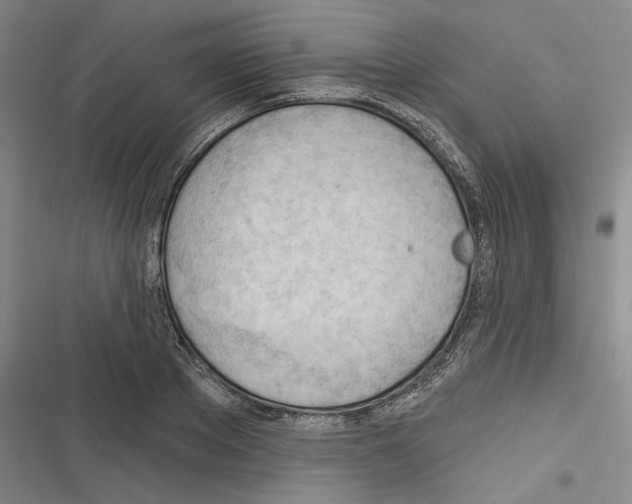 X0000116320889201001131001