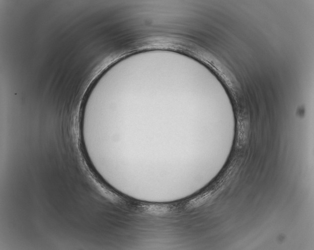 X0000116320890201001131001