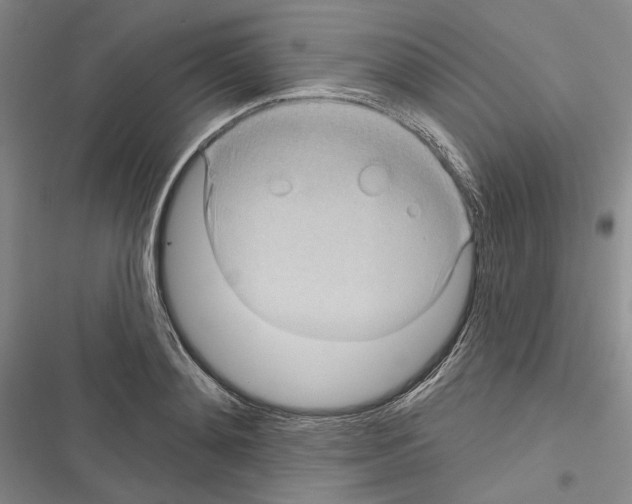 X0000116320892201001131001