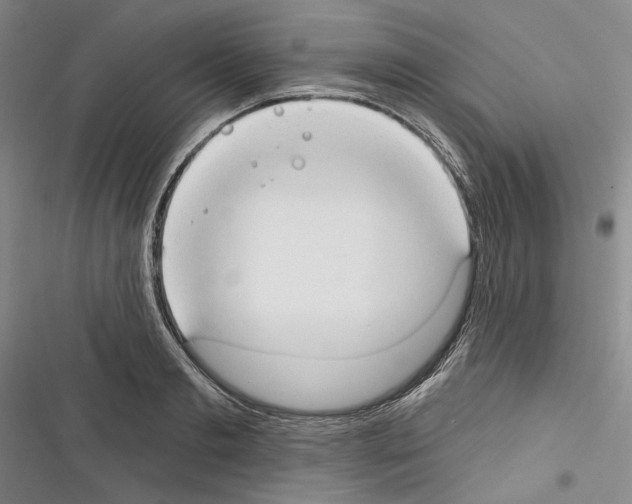 X0000116320893201001131001