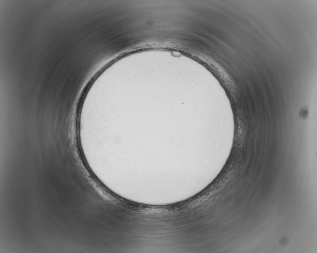 X0000116320894201001131001