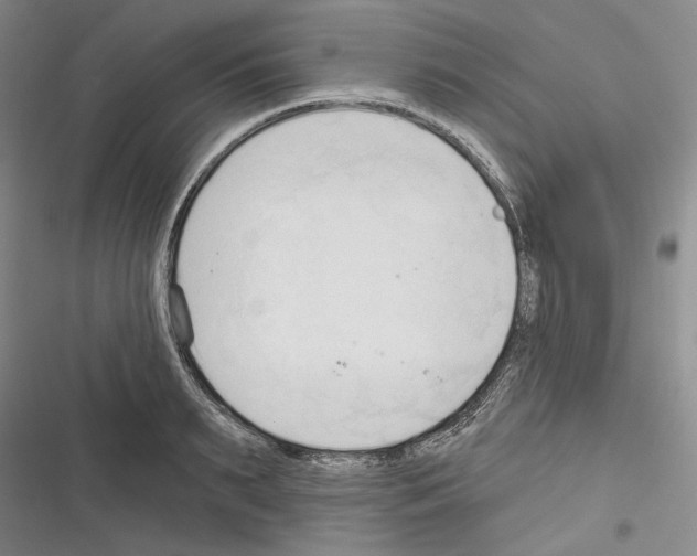 X0000116320895201001131001