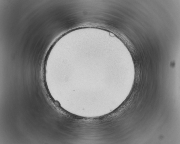 X0000116320896201001131001