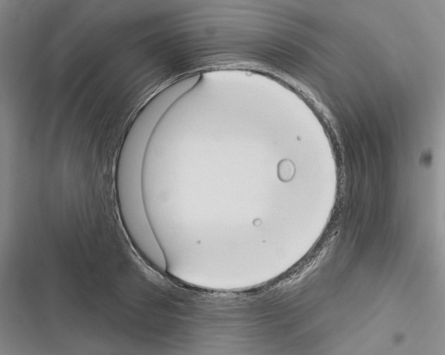 X0000116320897201001131001