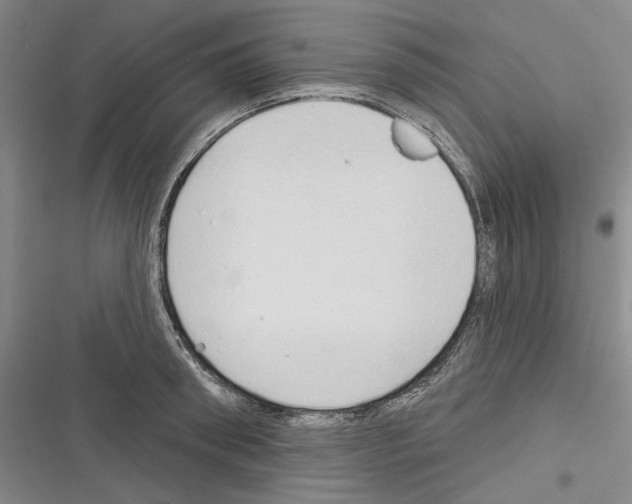 X0000116320898201001131001