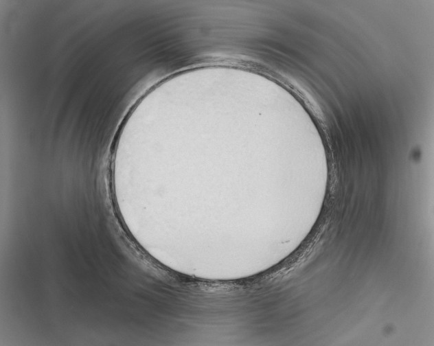 X0000116320899201001131001