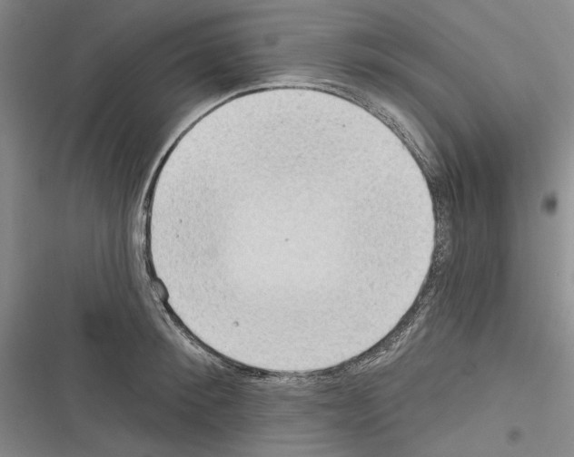 X0000116320900201001131001