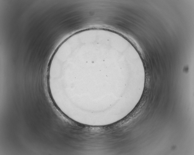 X0000116320903201001131001