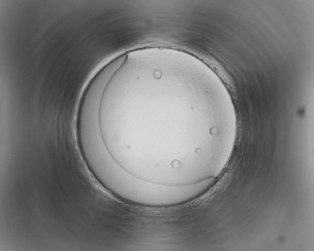 X0000116320904201001131001