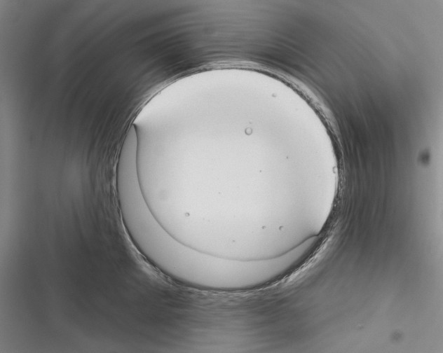 X0000116320905201001131001