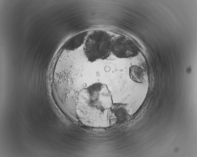 X0000116320907201001131001