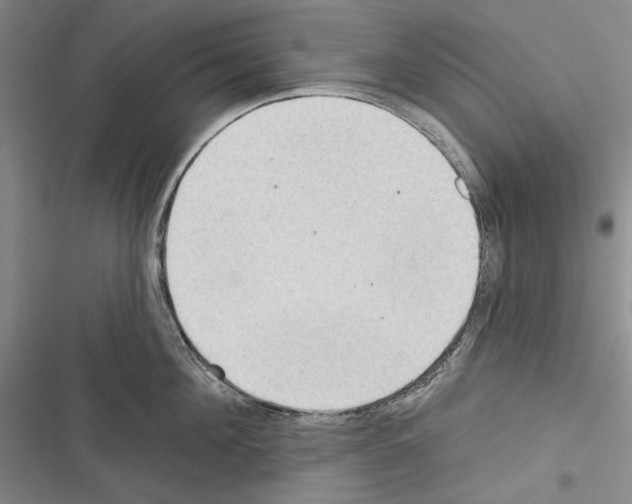 X0000116320908201001131001