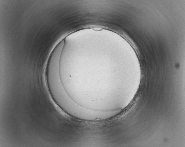 X0000116320909201001131001