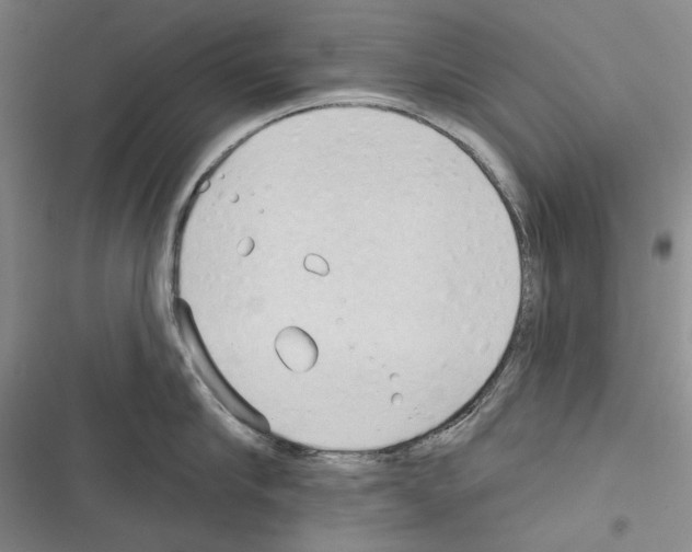 X0000116320910201001131001