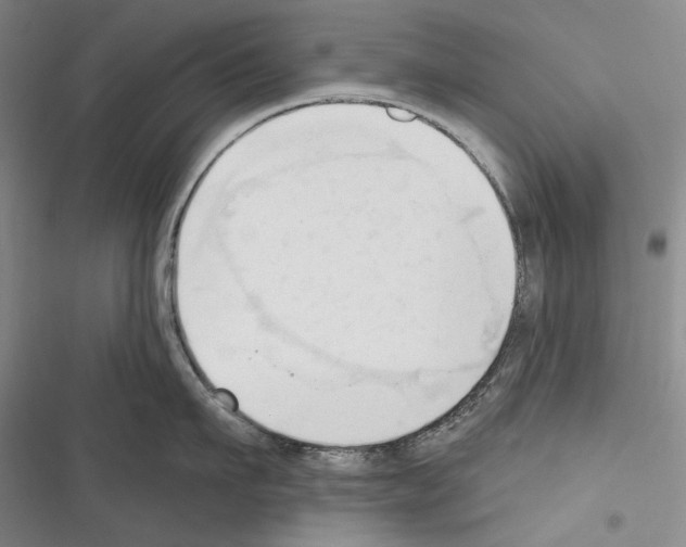 X0000116320911201001131001