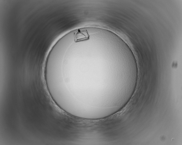 X0000116320912201001131001