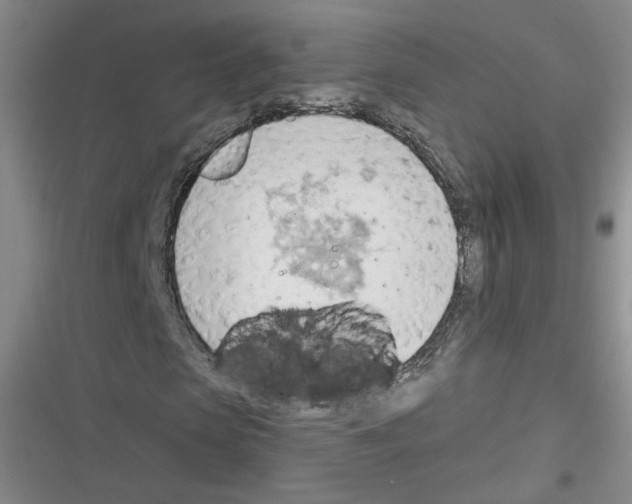 X0000116320913201001131000