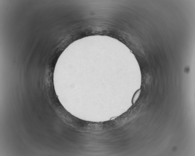 X0000116320914201001131000