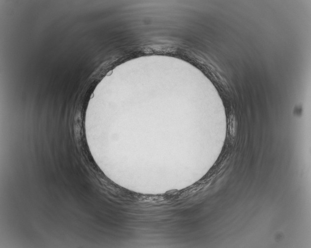 X0000116320915201001131000