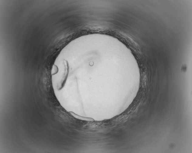 X0000116320917201001131000