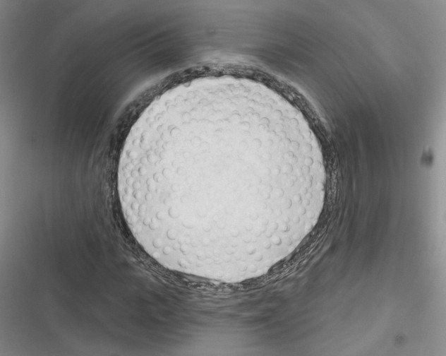 X0000116320919201001131000